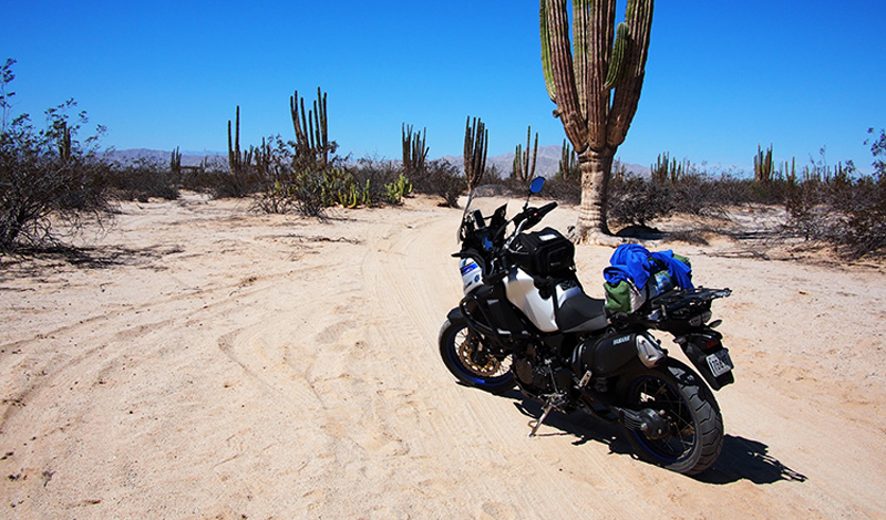 Ruta Baja California