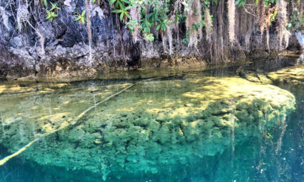 Chiapas, el oasis mexicano