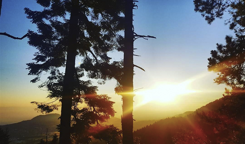 Parque Nacional Cumbres del Ajusco
