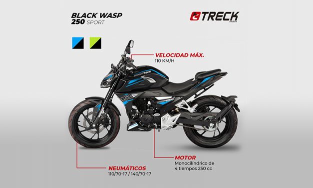 Black Wasp 250 Sport de Treck Motors