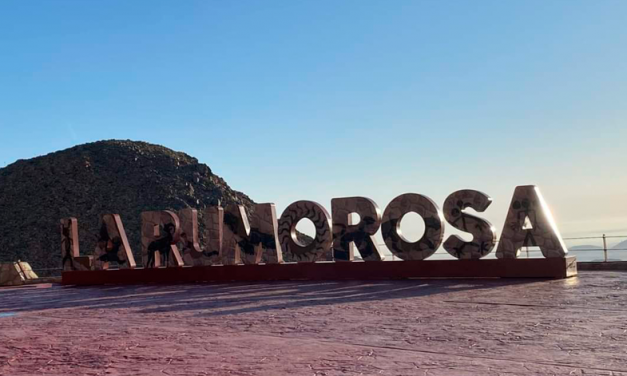 Disfruta de “La Rumorosa”, una de las carreteras más sinuosas y hermosas para un temperamento audaz