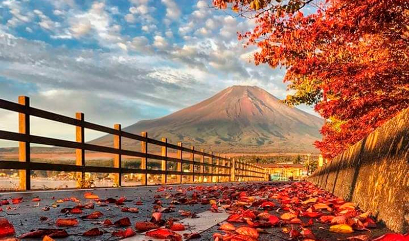 Descubre la magia oculta de los caminos de Japón