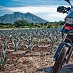Descubre México con estilo en cuatro exclusivas rutas