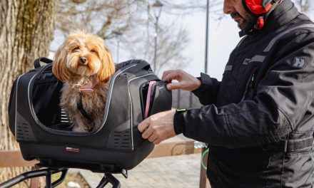 Conoce la maleta GIVI semirrígida para mascotas