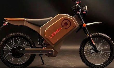 Descubre la primera moto eléctrica de madera, oficialmente  homologada para su comercialización