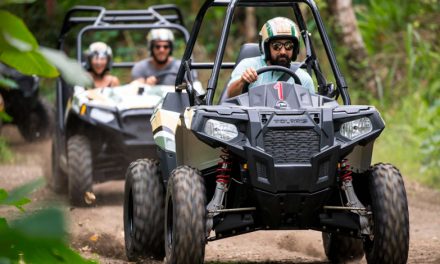 Aventura extrema en Quintana Roo: Recorre la Selva Maya en motocicleta