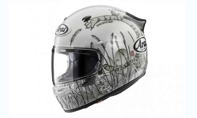 Arai ASTRO-GX NEKO: Estilo japonés con protección superior